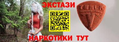 твердый Кингисепп