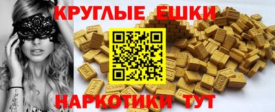 твердый Кингисепп