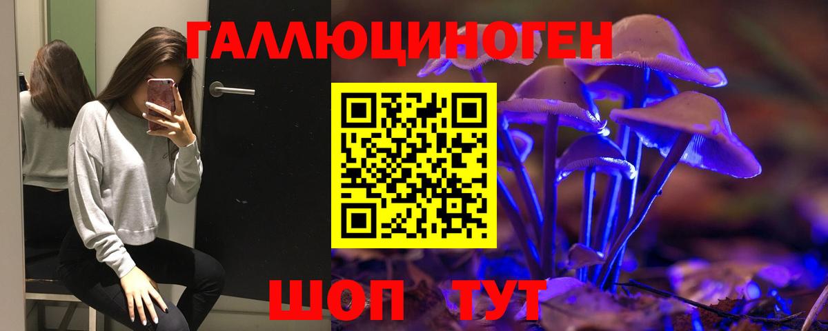 купить закладку  Вход с VPN  Югорск  Галлюциногенные грибы MAGIC MUSHROOMS 
